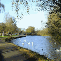 The river in wellingborough